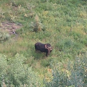 Meet your Posher, Kevin